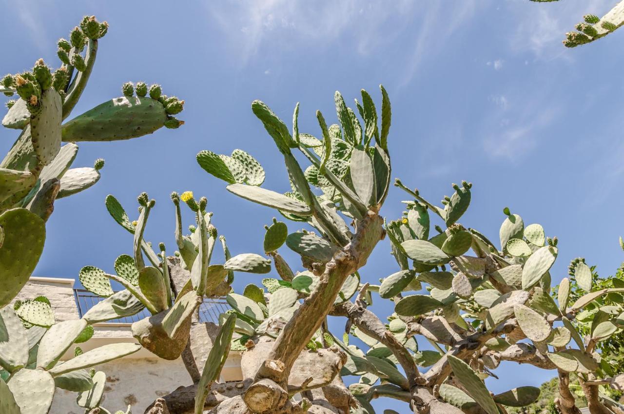 Vivere gli Iblei - Maison en plain air Ragusa Esterno foto